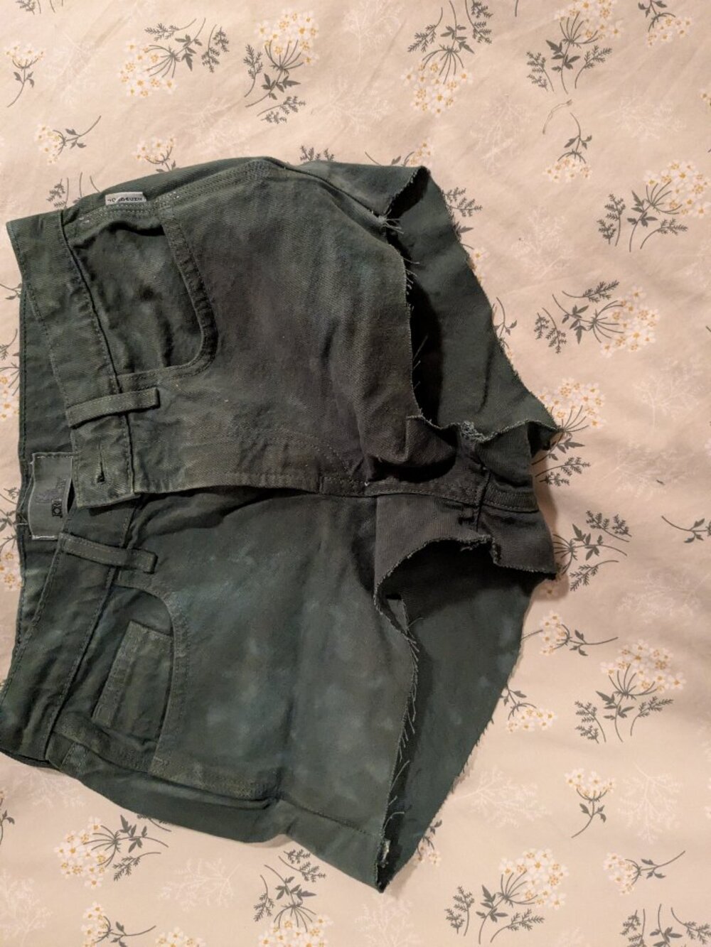Jordache Women's Shorts